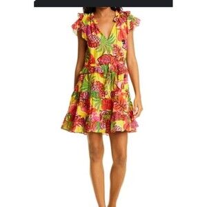 FARM RIO FRUIT RUFFLE MINI DRESS COLORFUL Fully Lined  Sz Small